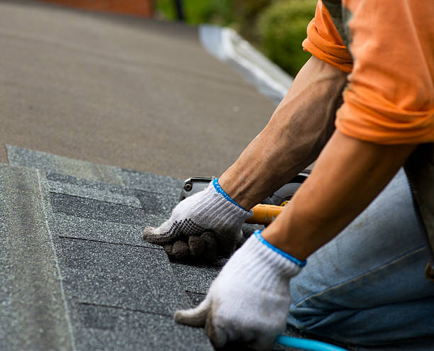Quick and Trustworthy Emergency Roof Repair Services in Parole, MD