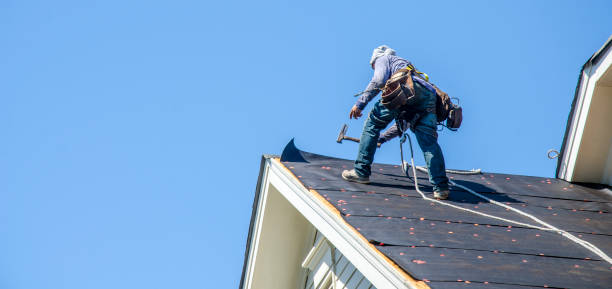 Best Roof Maintenance Services  in Parole, MD